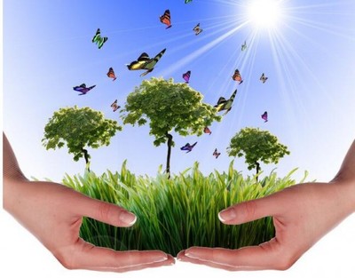 吳道洪 以節(jié)能減排技術(shù)創(chuàng)新與推廣服務(wù)，為中國(guó)實(shí)體經(jīng)濟(jì)注入綠色新動(dòng)力