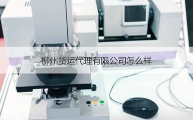 柳州貨運(yùn)代理市場(chǎng)分析 優(yōu)質(zhì)企業(yè)盤點(diǎn)與商務(wù)代辦服務(wù)指南